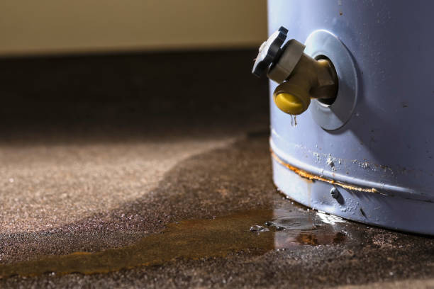 Best Fire Damage Restoration  in Mila Doce, TX