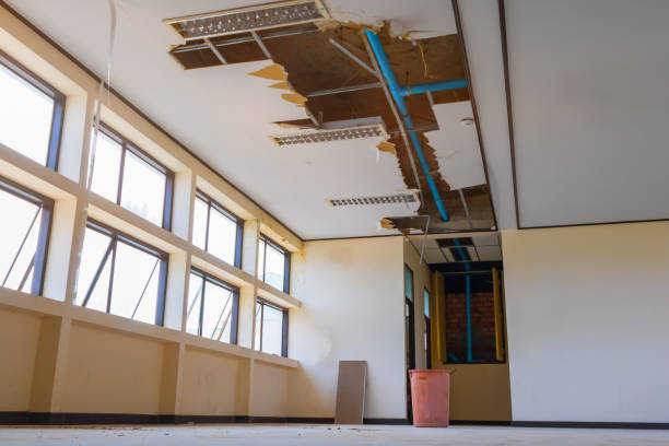 Best Ceiling water damage repair  in Mila Doce, TX