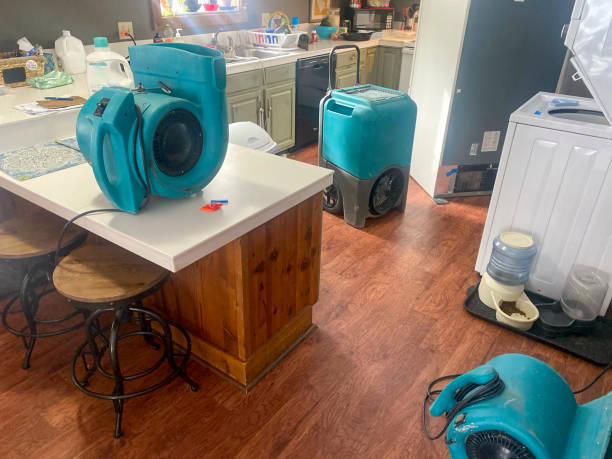Best Water damage cleanup near me  in Mila Doce, TX