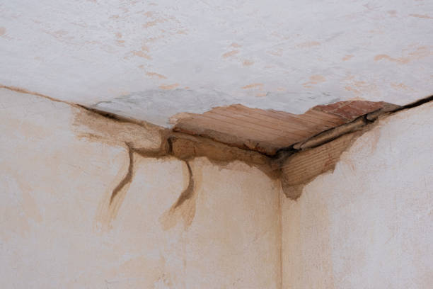  Mila Doce, TX Water damage restoration Pros