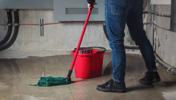 Best Flood damage cleanup  in Mila Doce, TX