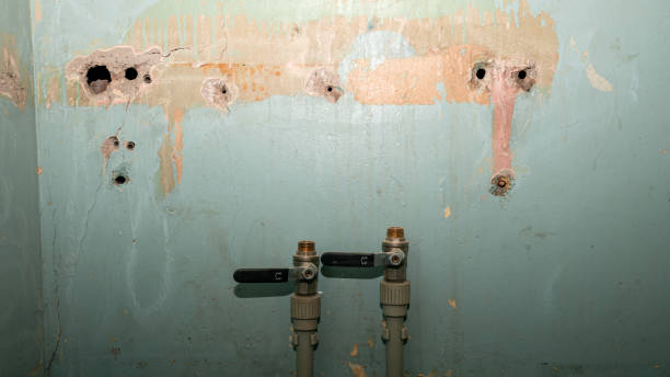 Best Water damage restoration near me  in Mila Doce, TX
