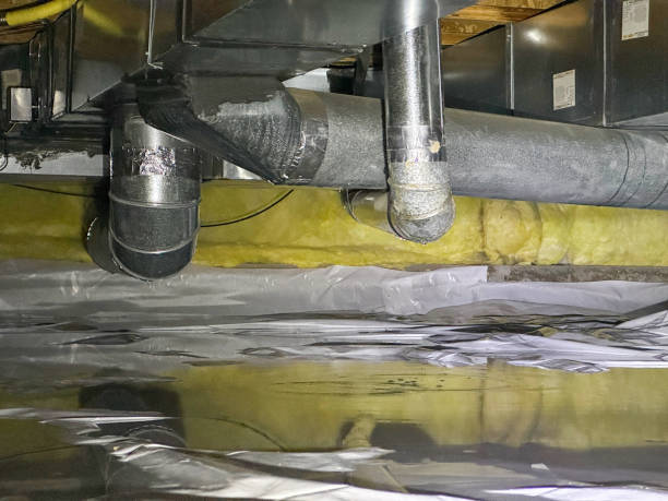 Best Sewage cleanup and water damage restoration  in Mila Doce, TX